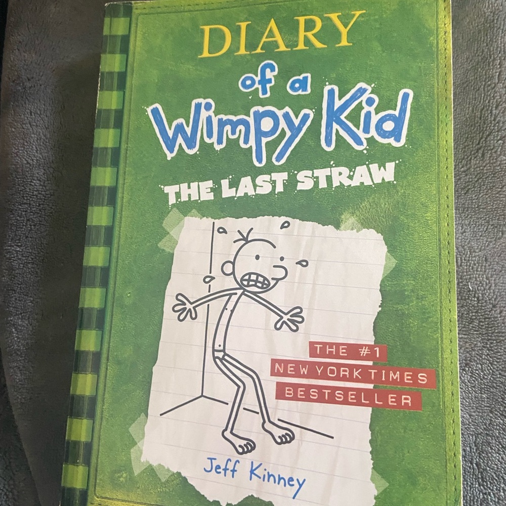BRAND NEW DIARIES OF A WIMPY KID BOOK BOOK #3 2009 (THE LAST STRAW)